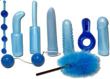 Blue Pearl Krystal Kit Sexual Wellness Vibrator Pleasure Kit The Complete Lovers Kit for Adult Fun
