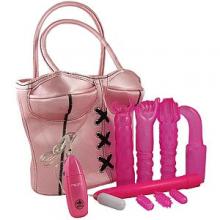Sex Sack Pink Handbag Corset Bag Deluxe Pink Body Works Sex Sack Women's Sex Toy Kit Cute Storage Bag