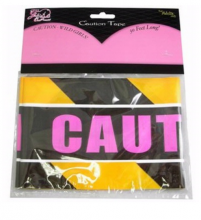Wild Girls Caution Tape Wild Girls Caution Banner Tape Bride to Be Hens Night Bachelorette Fun